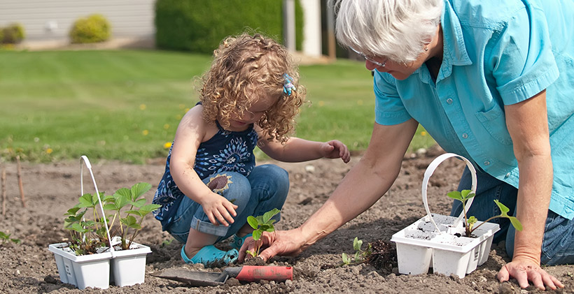 DIY Projects for Older Adults and Grandkids